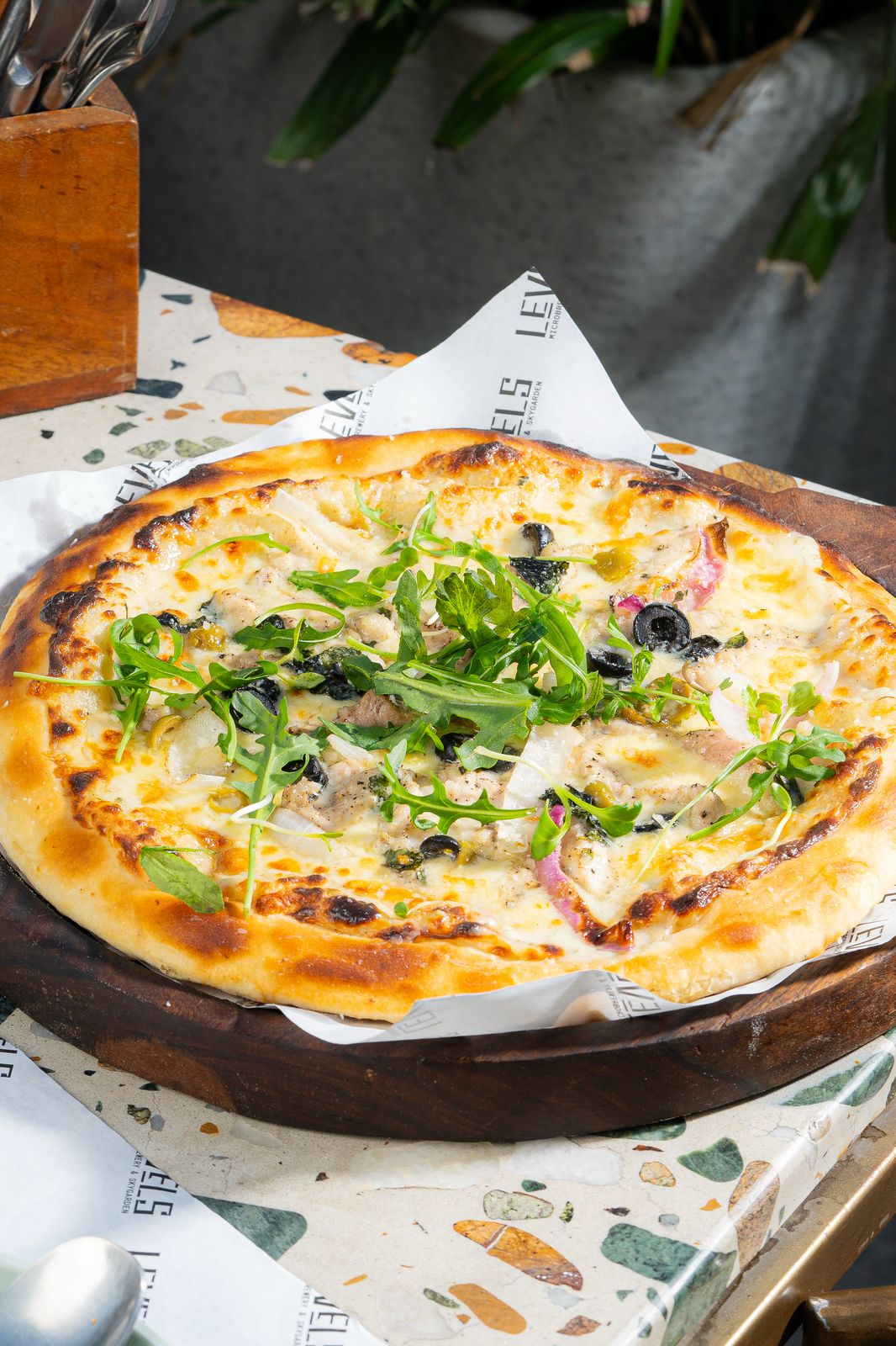 Red Wine Mushroom pizza